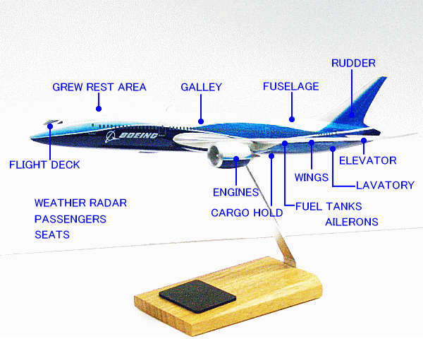ダロンRT7474ボーイング787一平面 Amazon | Boeing 787 Dreamliner RT7474 | プラモデル 通販